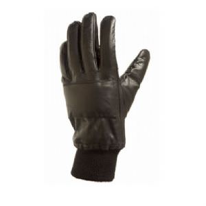 NI Glove (click for enlarged image)